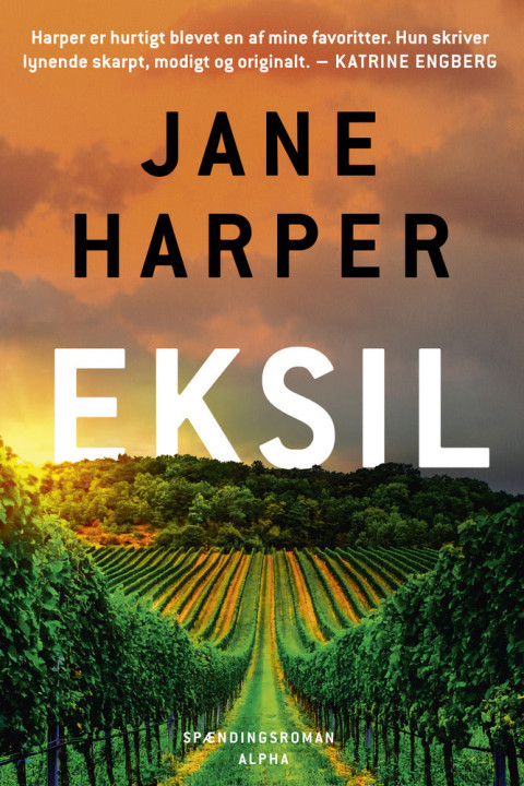 Omslag: Eksil - Aaron Falk 3