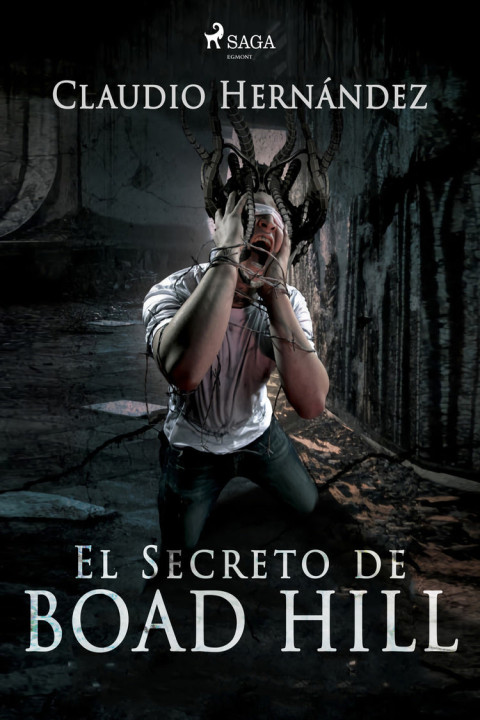 Omslag: El secreto de Boad Hill