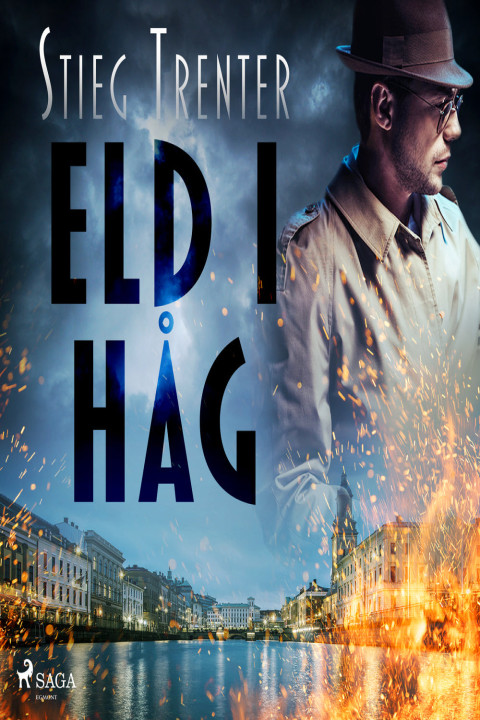 Omslag: Eld i håg