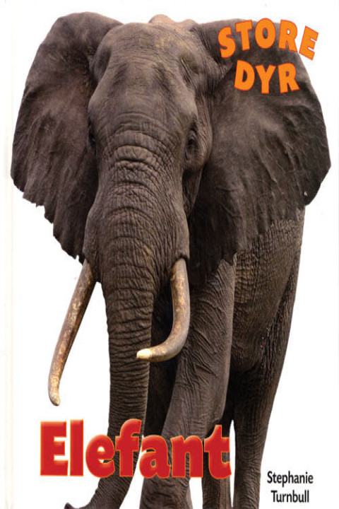 Omslag: Elefant