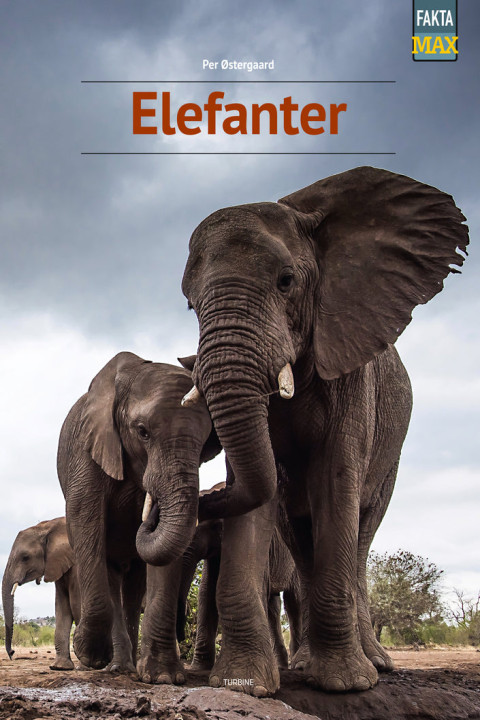 Omslag: Elefanter