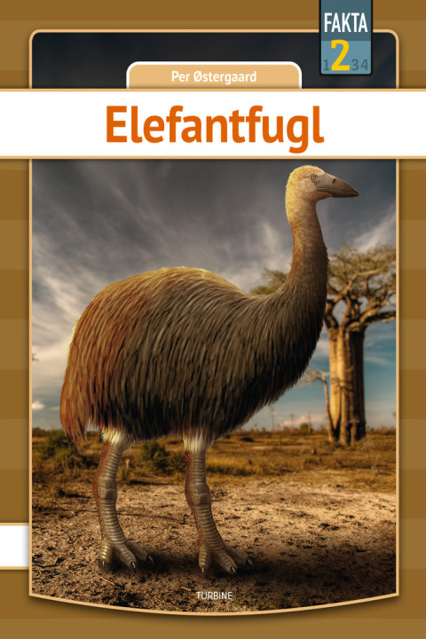Omslag: Elefantfugl
