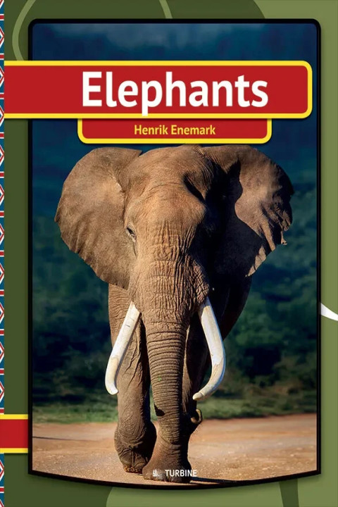 Omslag: Elephants