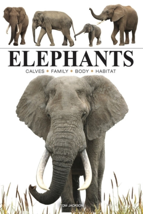 Omslag: Elephants
