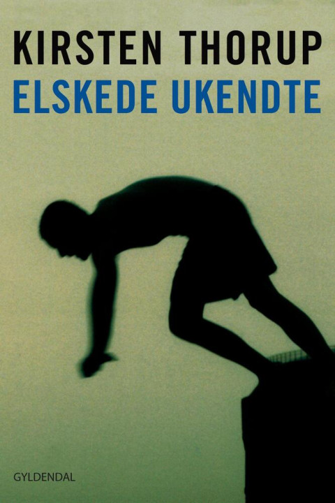 Omslag: Elskede ukendte
