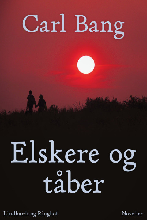 Omslag: Elskere og tåber