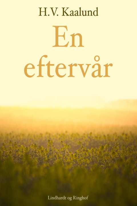 Omslag: En eftervår