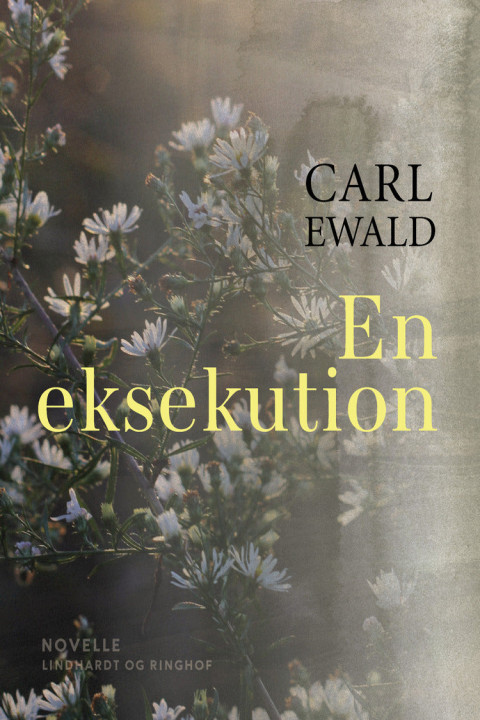 Omslag: En eksekution