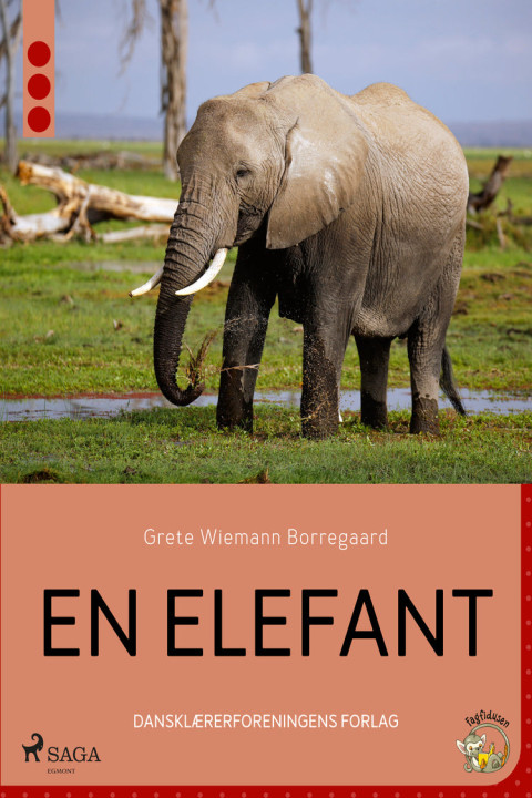Omslag: En elefant