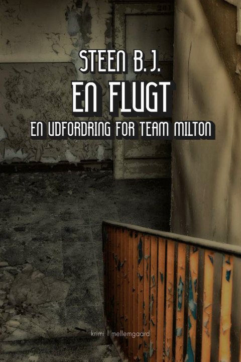 Omslag: En flugt