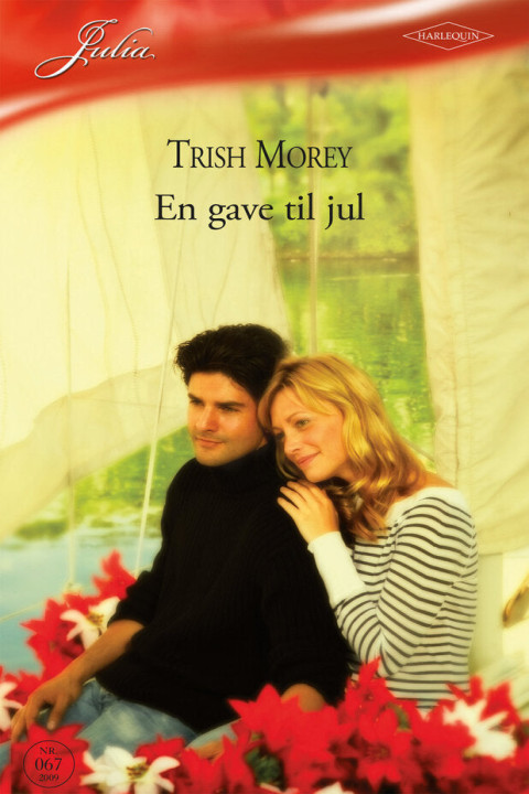 Omslag: En gave til jul