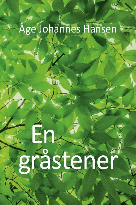Omslag: En gråstener