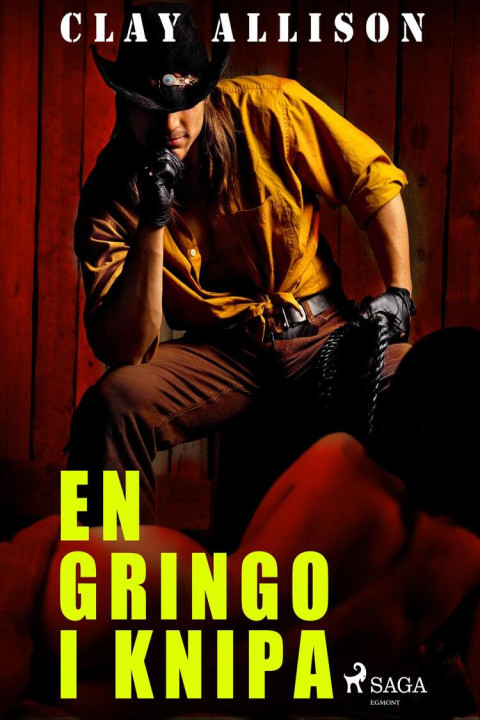 Omslag: En gringo i knipa