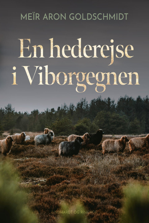 Omslag: En hederejse i Viborgegnen