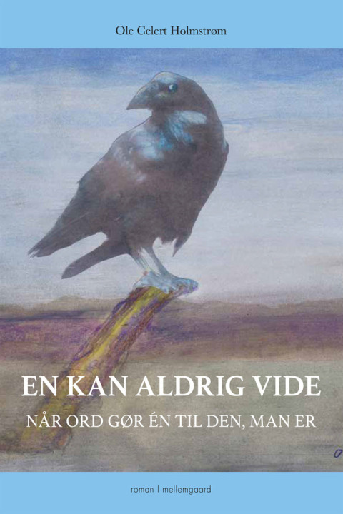 Omslag: En kan aldrig vide