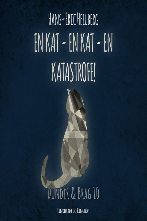 Omslag: En kat - en kat - en katastrofe!