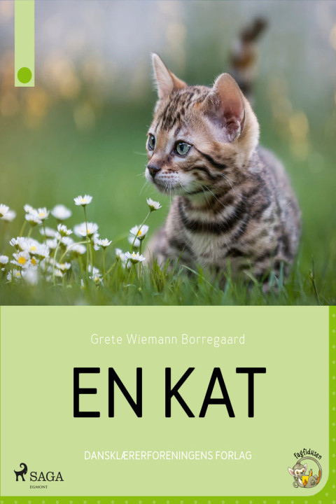 Omslag: En kat