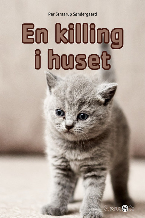 Omslag: En killing i huset