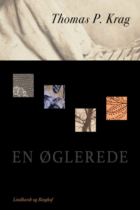 Omslag: En øglerede