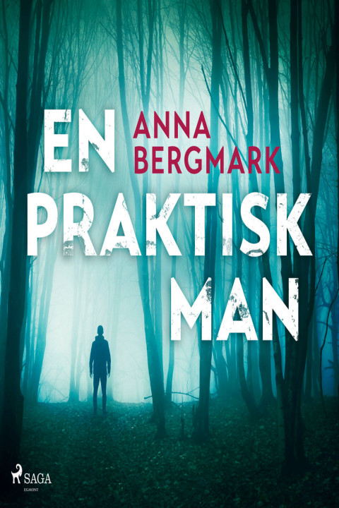 Omslag: En praktisk man