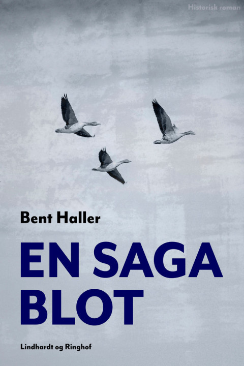 Omslag: En saga blot