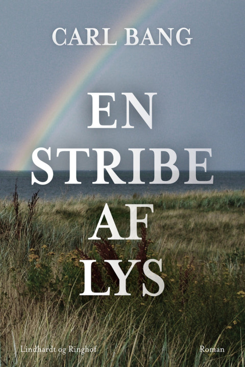Omslag: En stribe af lys