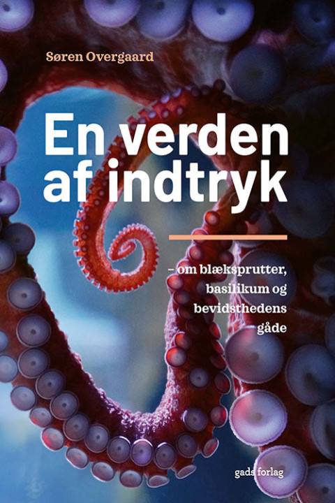 Omslag: En verden af indtryk