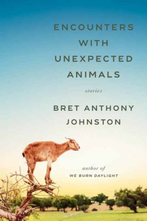 Omslag: Encounters with Unexpected Animals