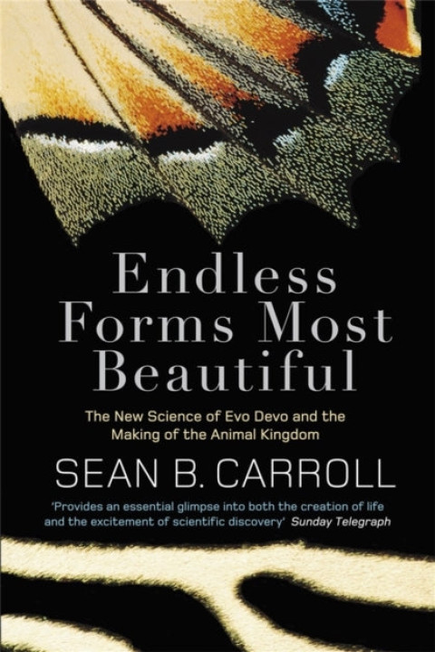 Omslag: Endless Forms Most Beautiful