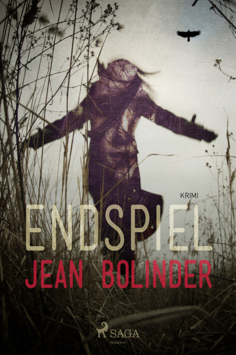 Omslag: Endspiel