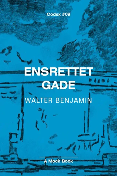 Omslag: Ensrettet gade
