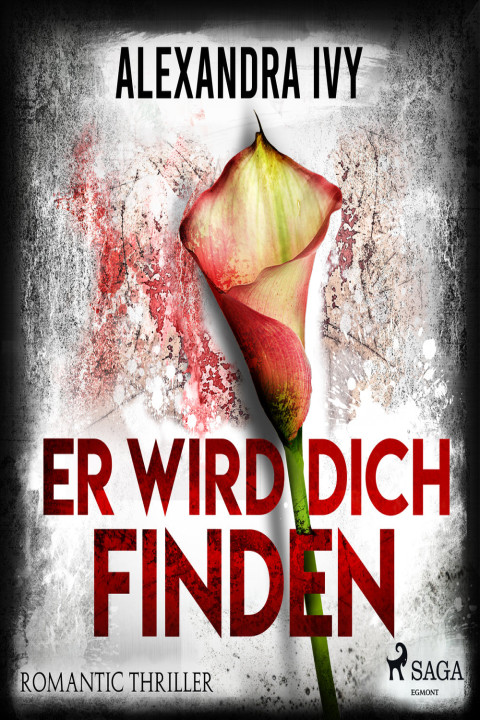 Omslag: Er wird dich finden: Romantic Thriller
