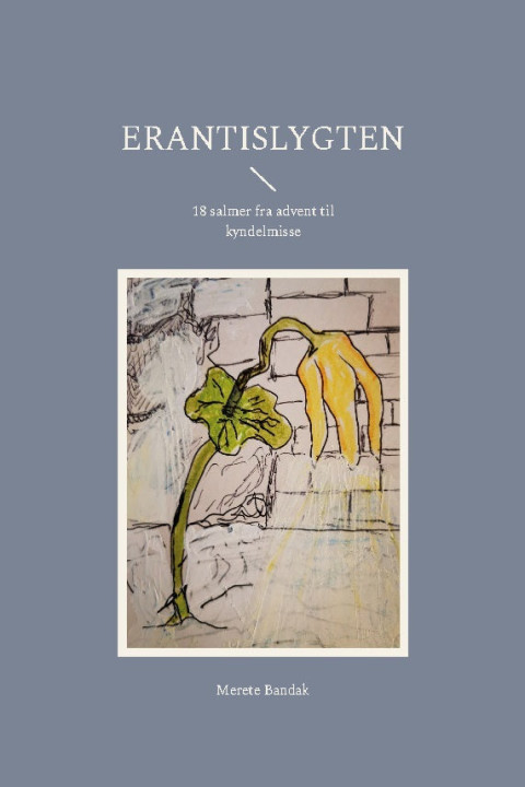 Omslag: Erantislygten