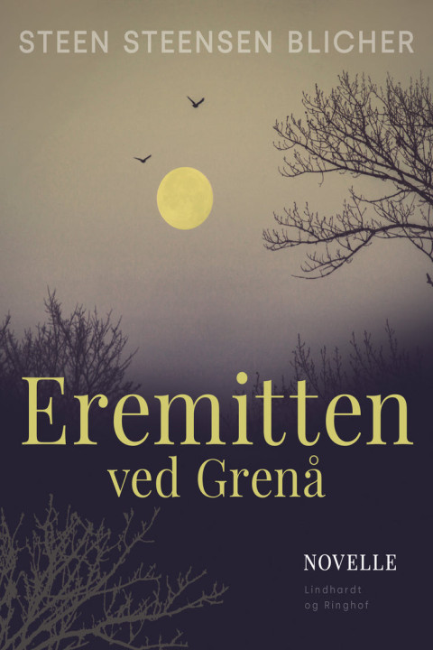 Omslag: Eremitten ved Grenå
