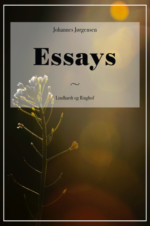 Omslag: Essays