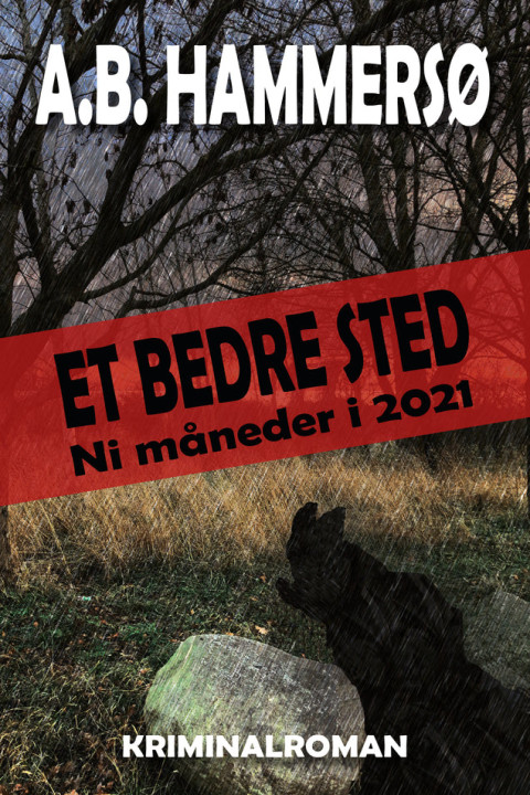 Omslag: Et bedre sted