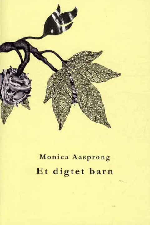 Omslag: Et digtet barn