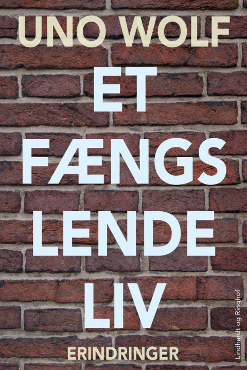 Omslag: Et fængslende liv