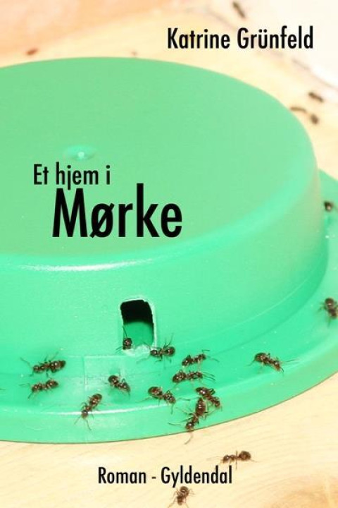 Omslag: Et hjem i Mørke