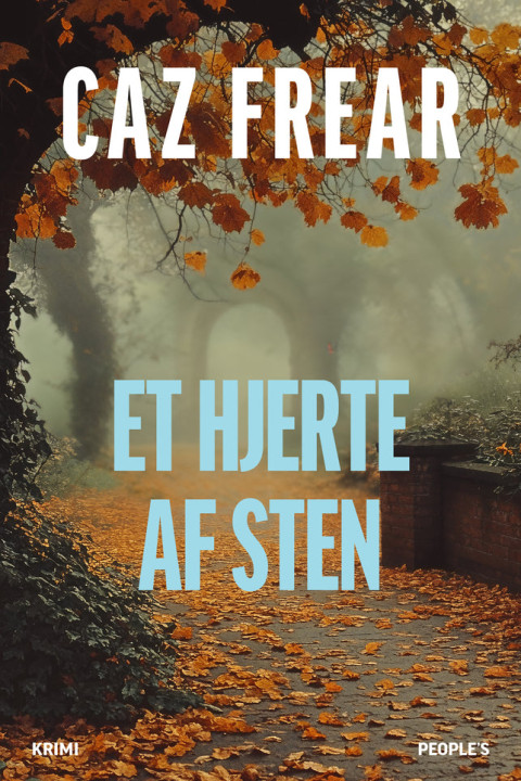 Omslag: Et hjerte af sten