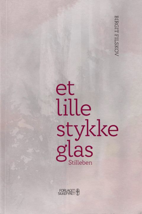 Omslag: Et lille stykke glas