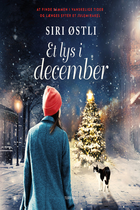 Omslag: Et lys i december
