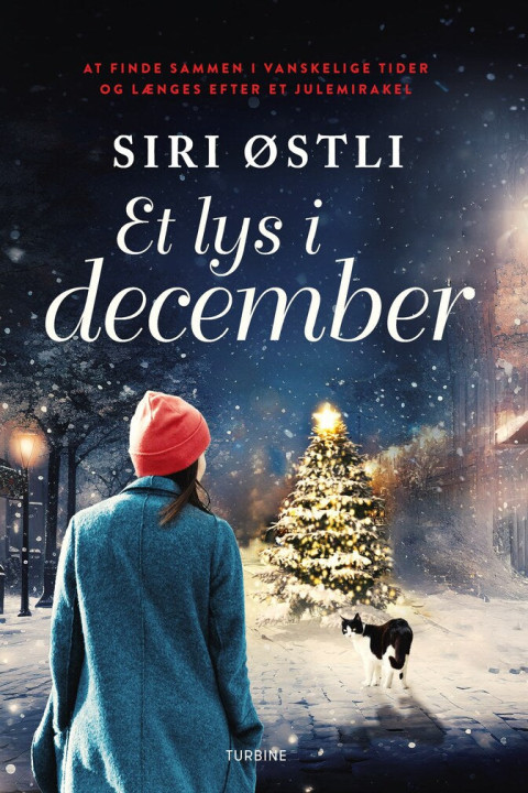 Omslag: Et lys i december