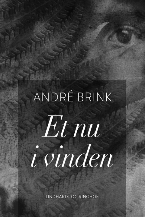 Omslag: Et nu i vinden
