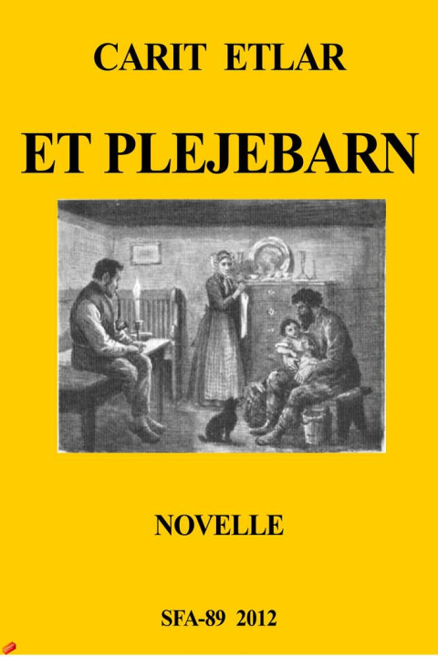 Omslag: Et plejebarn