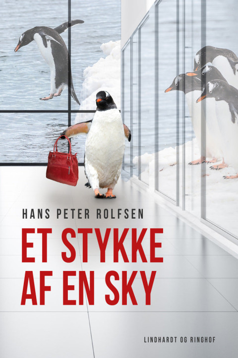 Omslag: Et stykke af en sky