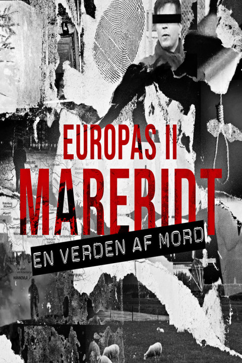 Omslag: Europas mareridt II