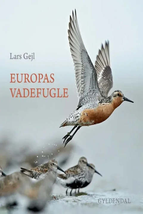 Omslag: Europas vadefugle