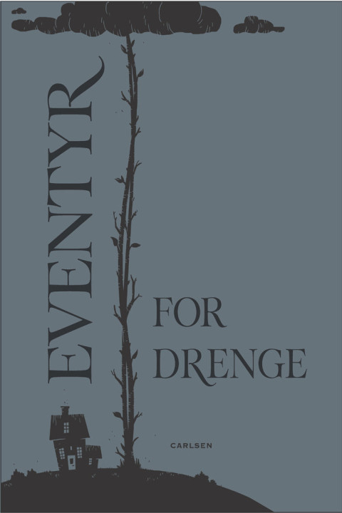 Omslag: Eventyr for drenge