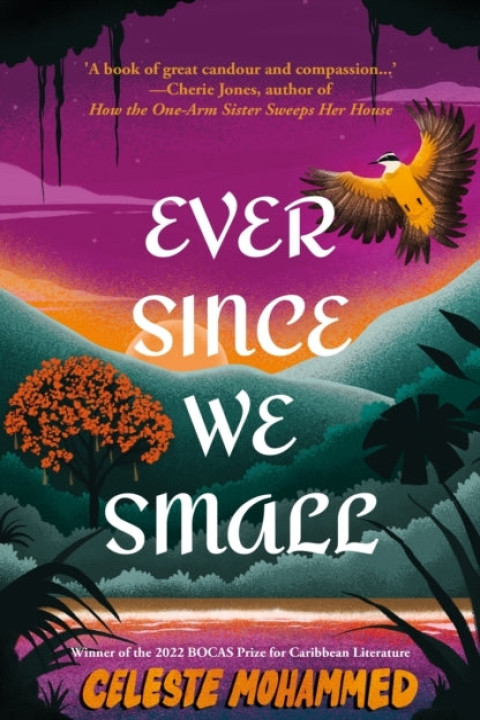 Omslag: Ever Since We Small